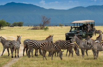 The Ultimate Guide to a Safari in Africa: An Unforgettable Adventure